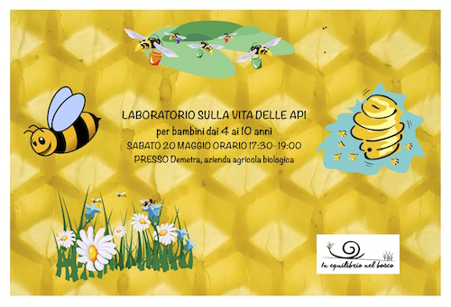 Laboratorio sulla vita delle api!!!!
